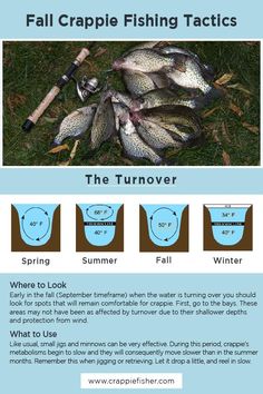 an info sheet describing how to catch fish in the fall