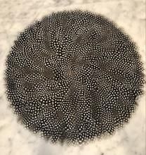 a black and white circular object sitting on top of a marble counter