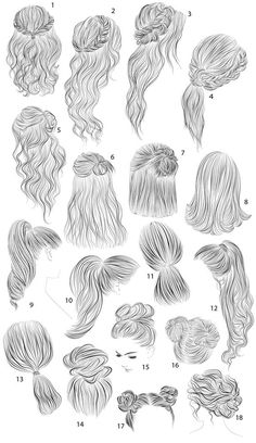 various hairstyles for women with long hair in different styles and sizes, all drawn up