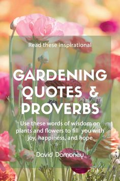 flowers with the words gardening quotes and prove