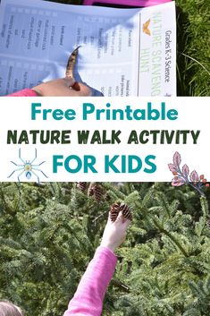 Free Printable Nature Walk Activity for Kids! There are two versions of a nature scavenger hunt for kids - one for K-3 and one for 4-8. Have fun with your kids finding these items and taking pictures, while you learn a little bit more about nature! Perfect outdoor activity for kids! Biology Vocabulary, Nature Scavenger Hunt For Kids, Nature Walk Activities, Outdoor Activity For Kids, Nature Walk Scavenger Hunt, Nature Scavenger Hunt, Scavenger Hunt For Kids