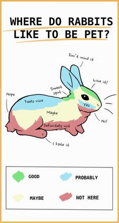 a poster with an image of a rabbit and the words where do rabbits like to be pet