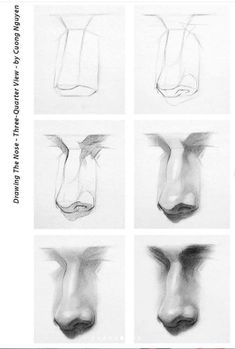 the steps in how to draw a nose and nose with different angles, from top to bottom