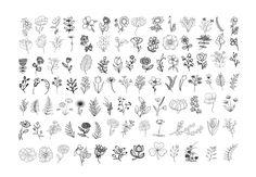 a bunch of flowers that are drawn in black and white