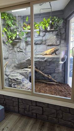 a large window that has some plants in it