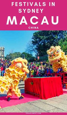 two lions performing in front of a crowd with the text festivals in sydney macau china