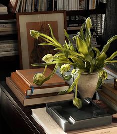 a potted plant sitting on top of a wooden table next to books and pictures