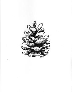 a black and white drawing of a pine cone