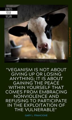 a black and white cow with a quote about vegan is not about giving up or losing anything, it is about gaining the peace within yourself that comes from