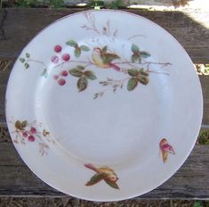 a white plate with birds and berries on it sitting on top of a wooden bench