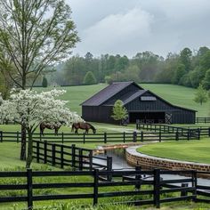 two horses grazing on grass in front of a barn and water trough with trees behind it