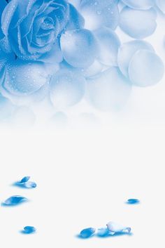 a blue rose with water droplets on it's petals is shown in the foreground