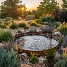 Outdoor stock tank pool oasis with surrounding plants in a beautifully landscaped backyard at sunset. Cowboy Pool Ideas, Backyard Plunge Pool, Magical Landscaping, Tank Pool Ideas, Stock Tank Pool Ideas, Cowboy Pool, Stock Pools, Rustic Chic Design, Texas Landscaping