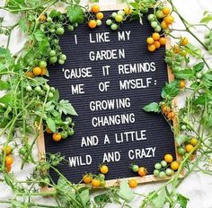 a sign with words written on it surrounded by green plants and orange berries in the background