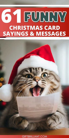 a cat wearing a santa hat with the caption funny christmas card sayings and messages