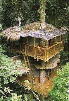 a tree house in the middle of some trees