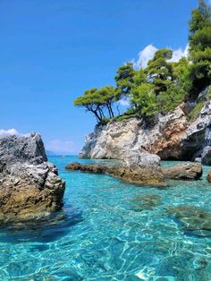 the water is crystal blue and clear with trees on top of rocks in front of it