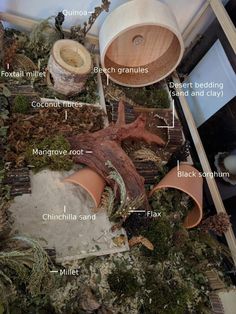 the parts of a potted plant are shown in this image with labels on it