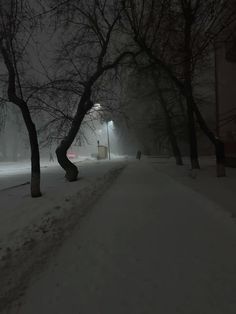 the street is covered in snow at night