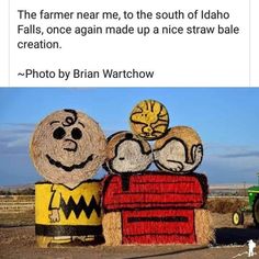 two hay bales with faces on them in the middle of a field, and one has