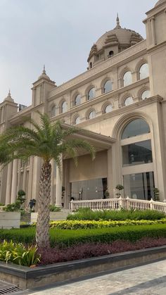 a palm tree in front of a large building