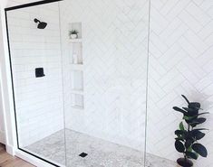 a white tiled shower with black accents and a plant in the corner next to it