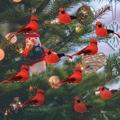 a flock of red birds sitting on top of a christmas tree next to a bird feeder