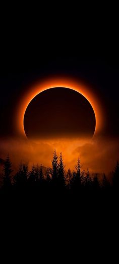 an eclipse is seen in the sky over trees