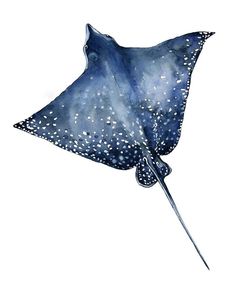 a watercolor painting of a manta ray in blue and white with speckles