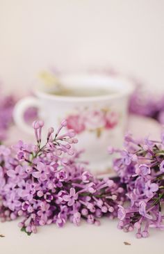 some purple flowers and a white cup on a table