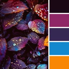 the color scheme is purple, orange and blue with water droplets on leaves in it