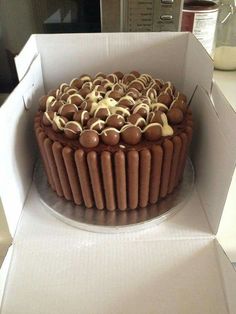 a chocolate cake with white frosting in a box