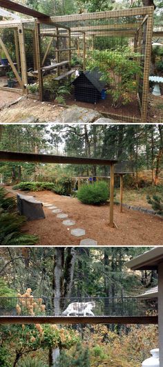 several different views of an outdoor area with trees and bushes, including a bird house