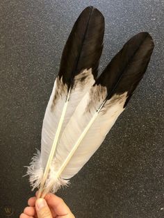 a hand holding a feather on top of a black counter next to a white wall