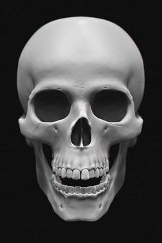 a white human skull is shown with no lower jaw and the upper part of its face visible