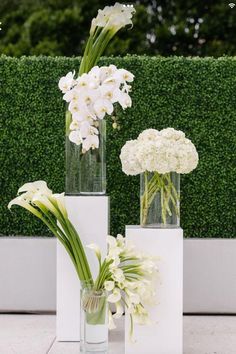 three vases filled with white flowers on top of a table