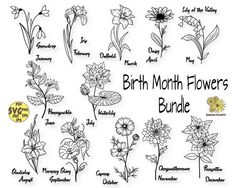 the birth month flowers bundle is shown