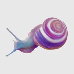 a close up of a purple and white snail on a white background with watercolors