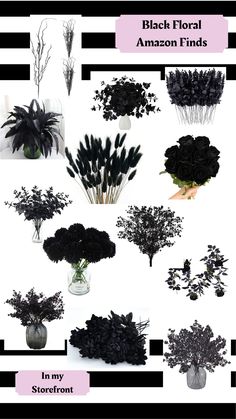 black flowers are arranged in vases on a white background with text that reads, black floral amazon finds