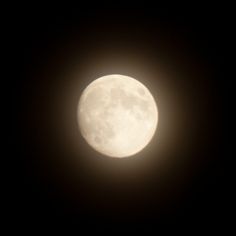 the full moon is visible in the dark sky