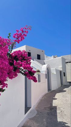 purple flowers are growing on the side of a white building with blue skies in the background