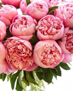 a vase filled with pink flowers on top of a table