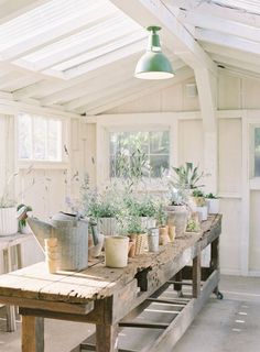 a long table with potted plants on it in a room filled with white walls