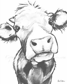 a black and white drawing of a cow