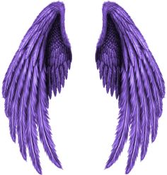 two purple wings on a white background