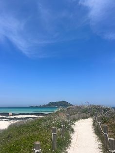 an empty path leading to the beach on a sunny day with blue skies and white clouds