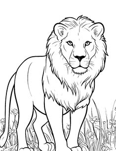 a lion standing in the grass coloring page