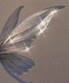 a butterfly flying through the air with its wings spread out and sparkling in the sun