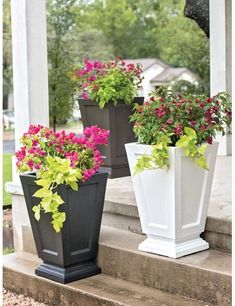 three planters with flowers are sitting on the steps