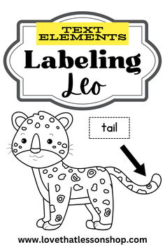 Labeling a leopard for 1st and 2nd graders